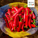 24년 해남 홍고추 1kg  5kg 10kg 빨간 고추 생 물고추 : 철수네농장
