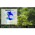 D3073 장마 현수막 / 유치원 어린이집 방송국 날씨 뉴스 역할 직업 체험 놀이 배경 포토존 1회 수정 가로형 소 : 파티붕붕