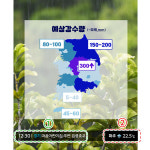 D3073 장마 현수막 / 유치원 어린이집 방송국 날씨 뉴스 역할 직업 체험 놀이 배경 포토존 1회 수정 가로형 소 : 파티붕붕