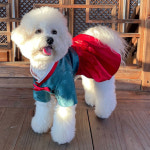 애견옷 만들기 강아지 한복 여아 57-246 P1690 - Dog hanbok : 패브릭샵