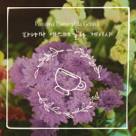 살면서 한번쯤 드셔보셨으면 하는 커피 : Cafe nid