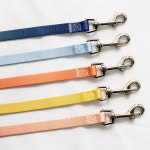 아미펫 강아지 실리콘 네임택 투톤 목줄 리드줄 세트 : 아미펫