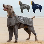 브라더캣도그 대형견 비옷 반려견 우비 레인코트 대형견 비옷 우비 강아지 아웃도어 : YuuMall