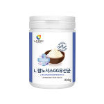 락토바실러스 람노서스GG 유산균 프락토올리고당 분말 가루 파우더 대용량 230gX1통 : 엄마약손몰