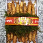 세계제일 풍기인삼(대삼계용) 복날 특별 할인중 : 100퍼센트팜