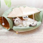 고양이 놀이터 쉼터 캣터널 분리세탁 숨숨집 다방 : BuyAllMarket
