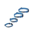 러프웨어 목줄 하이앤라이트 강아지목줄 : 댕댕상회스토어