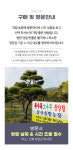 정원용 조형 소나무 근경 20점, 수고 3M 나무번호 S25-012 : 삼산솔밭농장