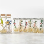 플라버보틀레터 C : 수앤서마켓A