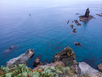 오타루 샤코탄 일일버스투어 홋카이도 삿포로 오션뷰 온천 특전 : 흰그림자투어 주식회사