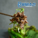 대구 북성로 연탄 불고기 돼지불고기 간장 고추장 : 비비수산