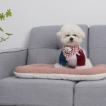 개과천선 골덴 뽀송 강아지 쿠션 침대 방석 꿀잠 애견방석 애견소파 소형견 : 개과천선스토어