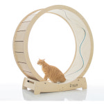 스타캣휠 1060 내부스크래쳐포함가 장난감 입문용 캣휠 강아지펫휠 캣타워 : 집사의 반격