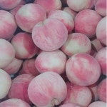 산지직송 경산 영천 천도복숭아 5kg 10kg 신비복숭아 딱딱이 백도 황도 망고복숭아 : 아달달농산