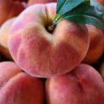 지금 제일 맛있는 말랑한 황도 털복숭아 4kg(~13과) : 백두농원- 복숭아와 곶감