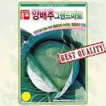 양배추 씨앗 종자 씨 그랜드마트 양배추씨앗 500립 AS : 팜앤리빙