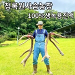 청록원 사슴농장 녹용 진액 액기스 녹용즙 110ml 60봉 1상자 기력보충 : 청록원농장