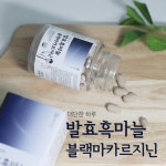 약국아르기닌 고함량 엘 아르기닌 알약 : 블루밤