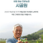 1+2 하동 명품 매실 원액 매실고 액기스 엑기스 매실액 매실청 농축액 기관지에좋은음식 : 빅원더