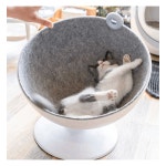 집 고양이 하우스 캣 타워 안락한 원형 반려 중소형 : 월드유에스