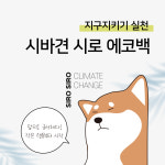 (주)시로애드 | 시바에코백 시로에코백 : 애드자인
