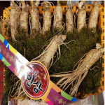 고려 홍삼 정과 프리미엄 골드 400g 1박스 홍삼 정과 선물세트 : 가야금 홍삼