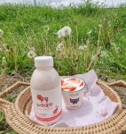 대광목장 유기농 딸기 요거트 500ml : 대광목장