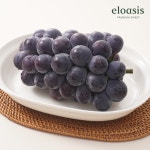 거봉 GAP 수출용 프리미엄 포도 김천 2kg 1.5kg : 엘로아시스