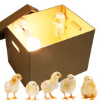 병아리 사육키트 사육장 메추리 육추기 : 에코팜 스토어