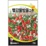 빨강물방울고추 10립 / 씨앗 종자 텃밭 채소 관상용 조생종 : 초록스타
