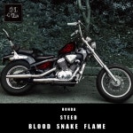 HONDA STEED BLOOD SNAKE FLAME(side)  스믈크루 불꽃데칼 혼다 스티드600 : 스믈크루