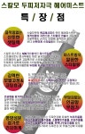헤어스타일링 스프레이 머리 볼륨감 스칼모 프리미엄 두피저자극 헤어미스트 : 알뜰365