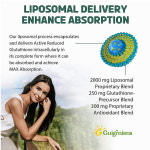 리포조말 글루타치온 2000MG Guigmiens 60정 2통 : Reborn Store