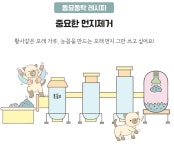 우리동네 동묘동락 9kg x 2개 고양이 벤토나이트 모래 : 멍냥회관