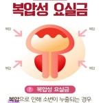 호장근 쏘피야 : 샤론스톤지샾