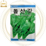 김장갓씨앗 종자 돌산갓30g 그린하트바이오 갓씨 : 아이씨드유
