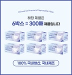 그린나래 국산 일회용 덴탈마스크 300매 MB필터 화이트 : TERACLEAN