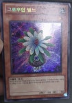 [한글판 C급]유희왕카드 그로우업 벌브 (EV10-KR015) 시크릿레어 : Jclover