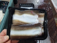 통영 자연산 바다장어 1kg 손질후 700g 국내산 붕장어 아나고 : 통영금빛바다