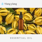 일랑일랑E.O 10ml : 네이처박스