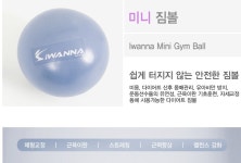 아이워너 미니 짐볼 25cm 라벤더 마사지 근육이완짐볼 : 100스포츠
