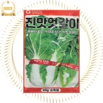 엇갈이씨앗 종자 진맛엇갈이 20g 그린하트바이오 겉절이,풋김치 : 종자맨