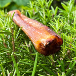 군침돌개 강아지 한우 불리스틱 강아지육포 카우스틱 라지 20cm : 군침돌개