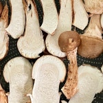 참송이 버섯 - 가정용 1kg - 우주참송이 : 농업회사법인우주