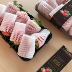 논산에서 태어난 대왕딸기 킹스베리1kg [선경농장] : 선경농장