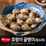 자연산 호랑이골뱅이 꽃소라 1kg 골뱅이 고동소라 갯고동 냉동 : 서진무역- 민물가재 직수입