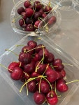 TOYFOOD [premium] 9.5row 체리  특가 2kg -   무료배송 : 토이푸드.