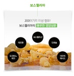 무료배송 애플트리김약사네 보스웰리아9988+1000mg 가시오가피 산수유 테르펜 인센솔 : The all