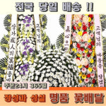 중구꽃배달 결혼 개업화환 장례식장 국립중앙의료원 백병원 서울대학교병원 서울백병원 축하화환 결혼식장 조화배달 : 정성을 다하는 일품꽃배달