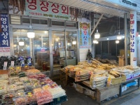 [영창상회] 품질좋은 프리미엄 최상급 황태채 500g : 영창상회